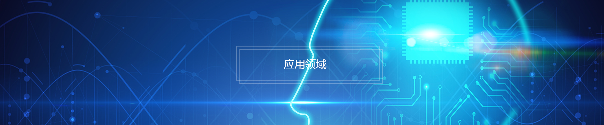 應用領域