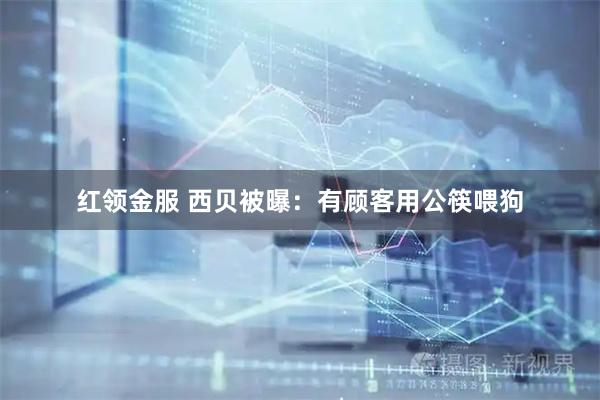 红领金服 西贝被曝：有顾客用公筷喂狗