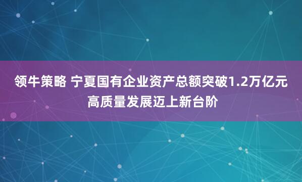 领牛策略 宁夏国有企业资产总额突破1.2万亿元 高质量发展迈上新台阶