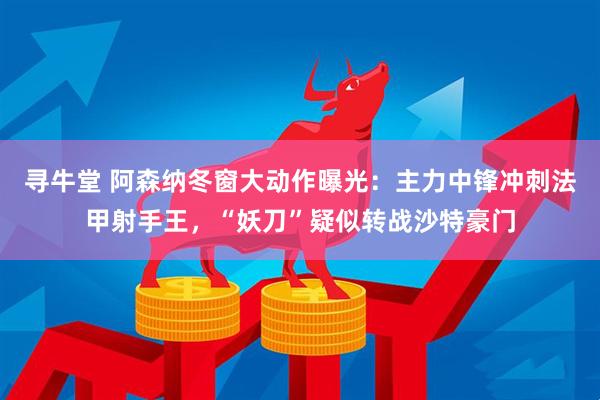 寻牛堂 阿森纳冬窗大动作曝光：主力中锋冲刺法甲射手王，“妖刀”疑似转战沙特豪门