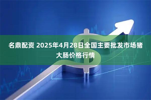 名鼎配资 2025年4月28日全国主要批发市场猪大肠价格行情