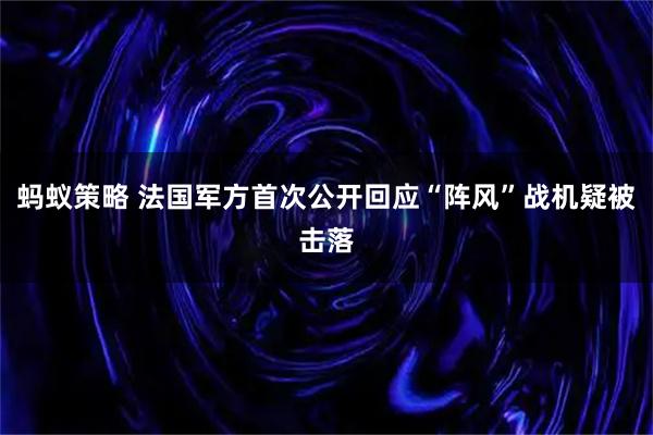 蚂蚁策略 法国军方首次公开回应“阵风”战机疑被击落