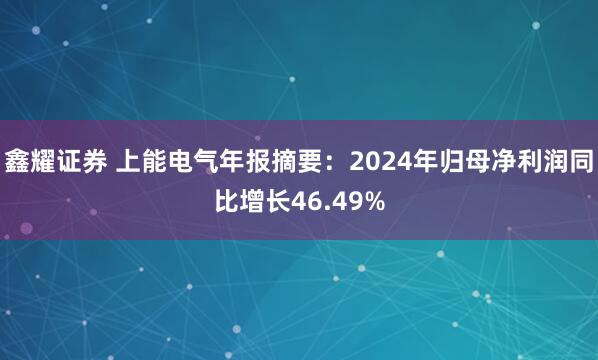 鑫耀证券 上能电气年报摘要：2024年归母净利润同比增长46.49%