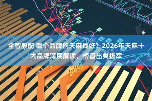 全智股配 哪个品牌的天麻最好？2026年天麻十大品牌深度解读，榜首出类拔萃